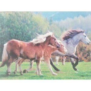Running Horses Winning the Race Puzzlers Collection 1000 Piece Jigsaw Puzzle